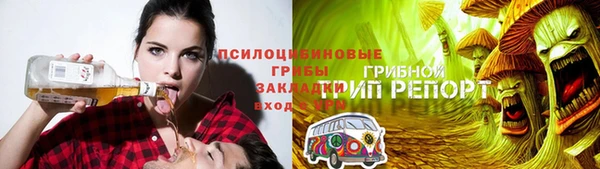apvp Нея