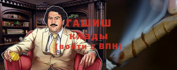 гидра Надым