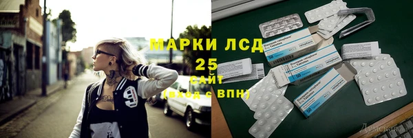 индика Наволоки