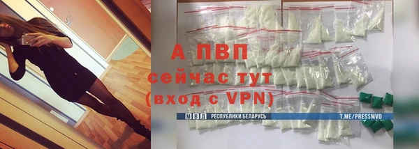 стаф Нефтегорск