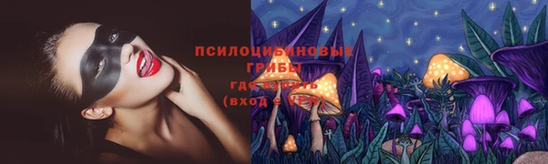 спиды Нефтекумск