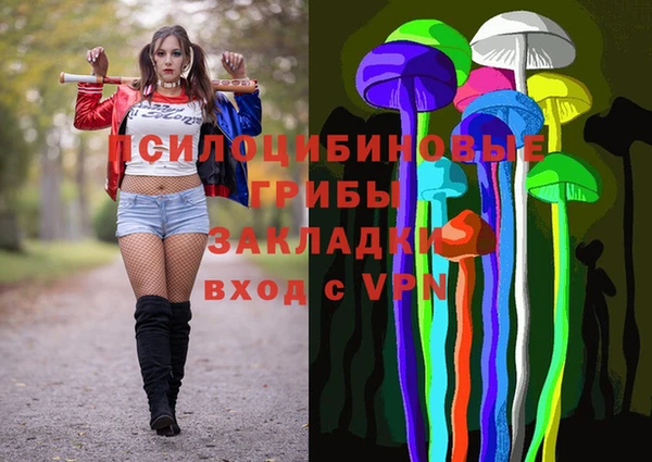 MDMA Дмитриев