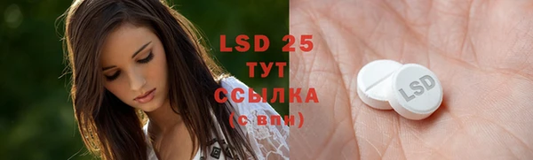 спиды Нефтекумск