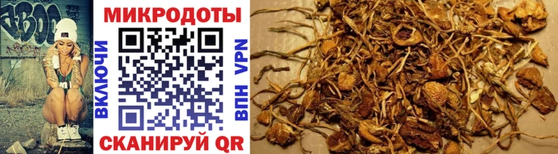 Псилоцибиновые грибы мухоморы купить сайты Курганинск