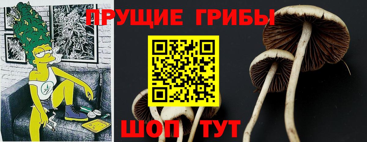 Псилоцибиновые грибы прущие грибы Курганинск