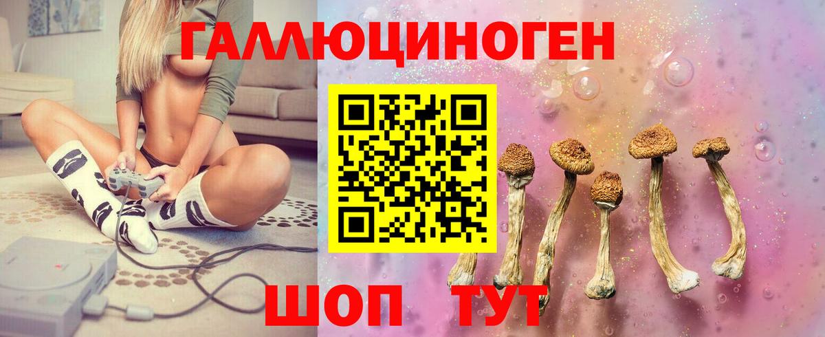 Курганинск  Псилоцибиновые грибы GOLDEN TEACHER  Вход с VPN  Галлюциногенные грибы MAGIC MUSHROOMS 