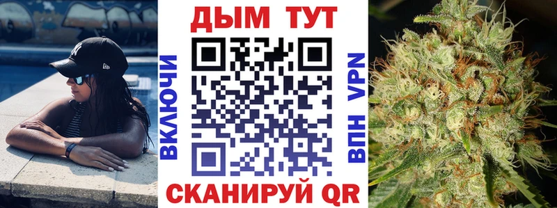 где продают   Курганинск  Конопля сатива 